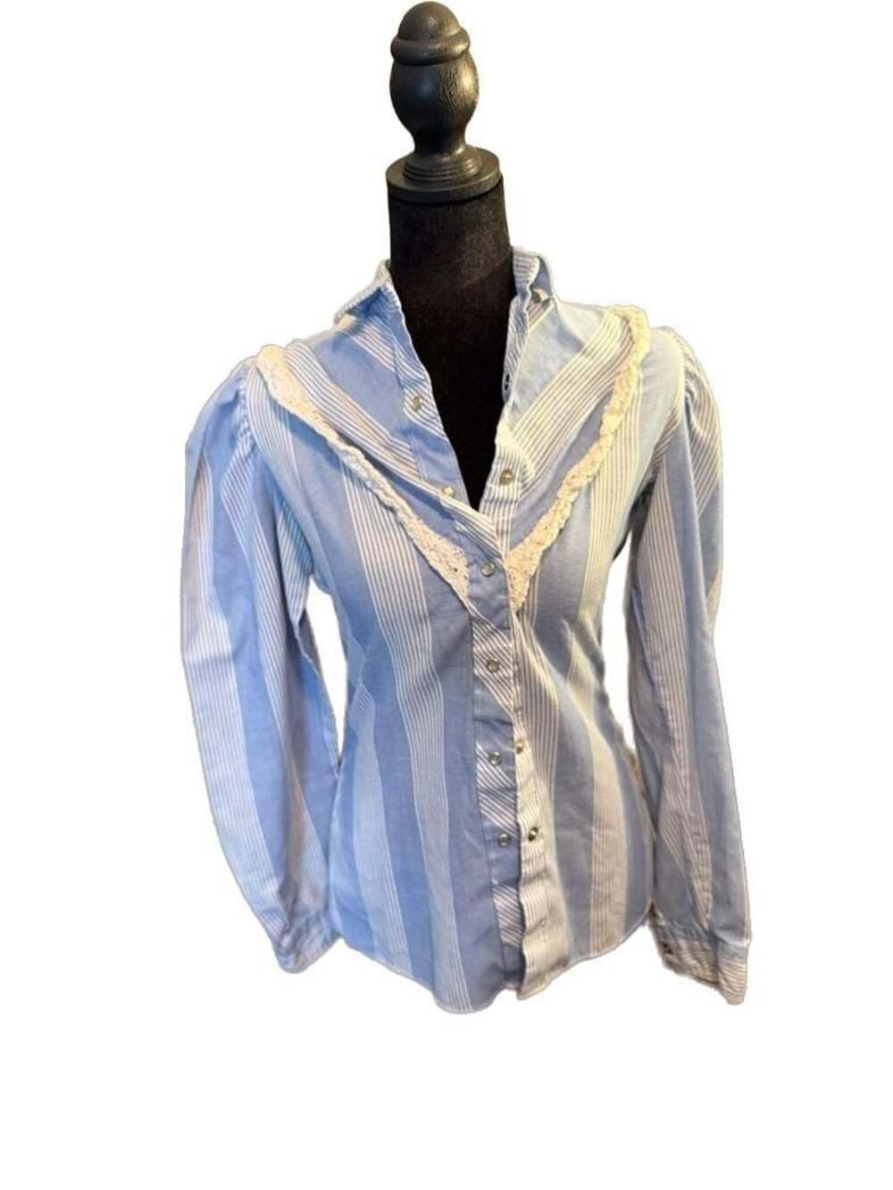 Vintage Cameo Rose Blue Striped Western Snap Blouse with Lace Trim